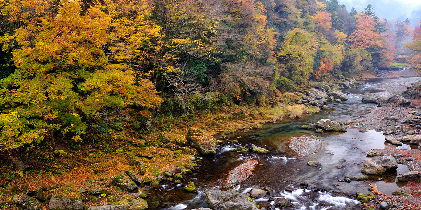 Autumn River Valley adorned with Crimson Leaves