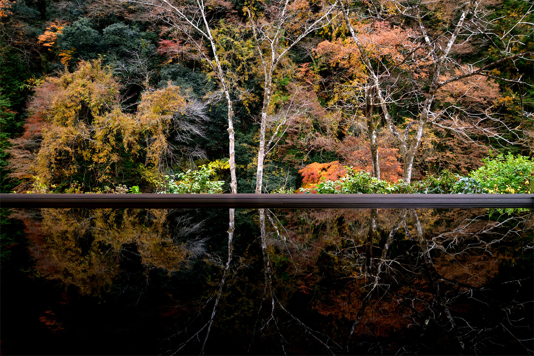 The autumn foliage scenery from Fushi's Outdoor Livingng